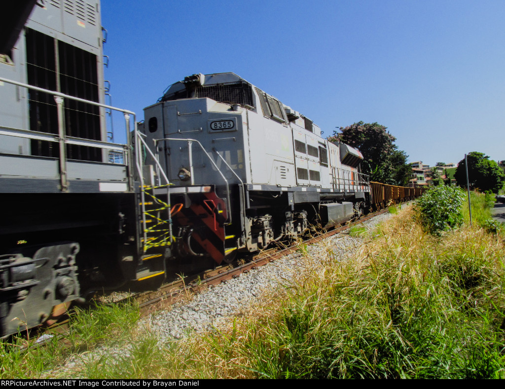 VLI 8365